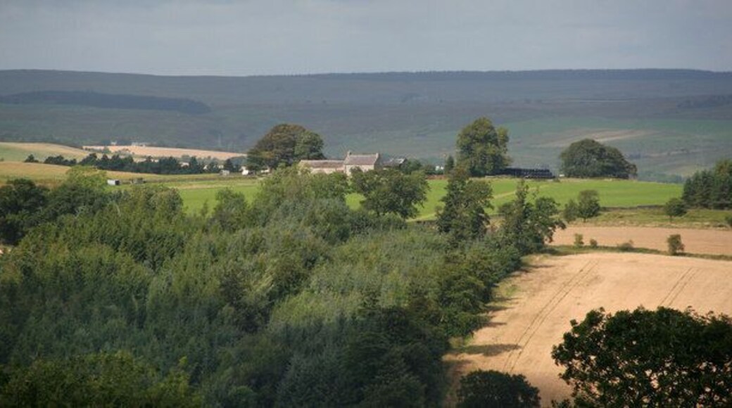 Glendue Glendue Farm with Bogle Wood in the foreground.