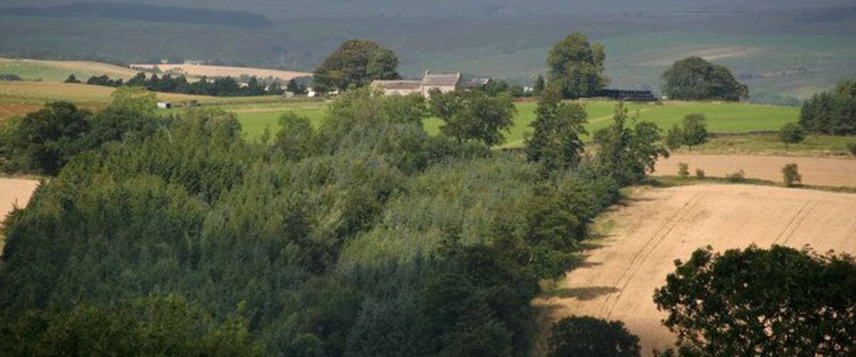 A rural landscape with a farm, rolling hills, and a clear sky.