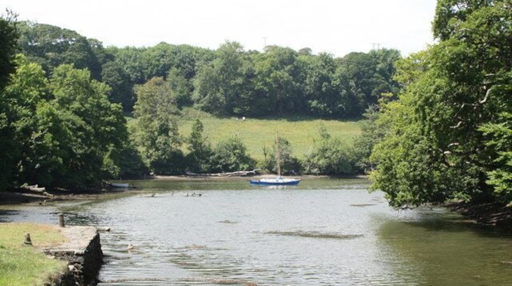 Old wharf on a branch of Mawgan Creek Presumably this served Trelowarren Mill and the Trelowarren Estate, further up the valley.