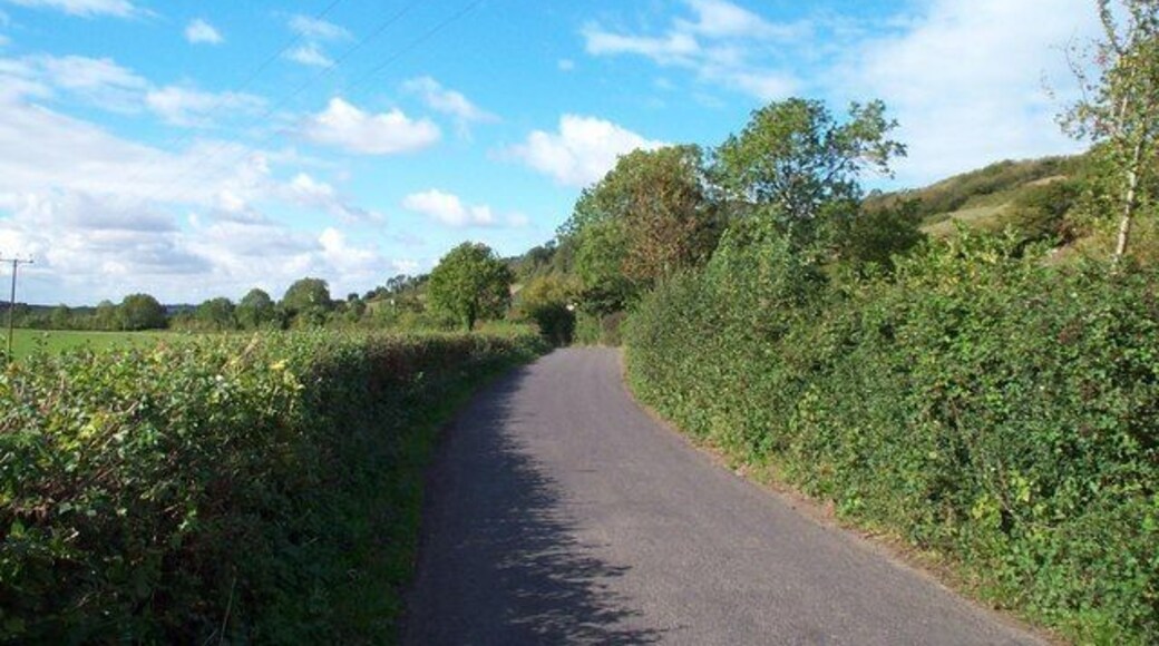 Billicombe Lane, Moorlinch Leading westwards to the village of Stawell.