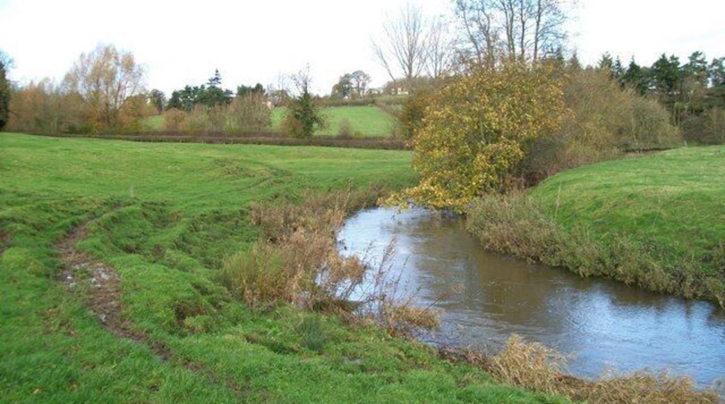 River Stour near Harpitts Lane