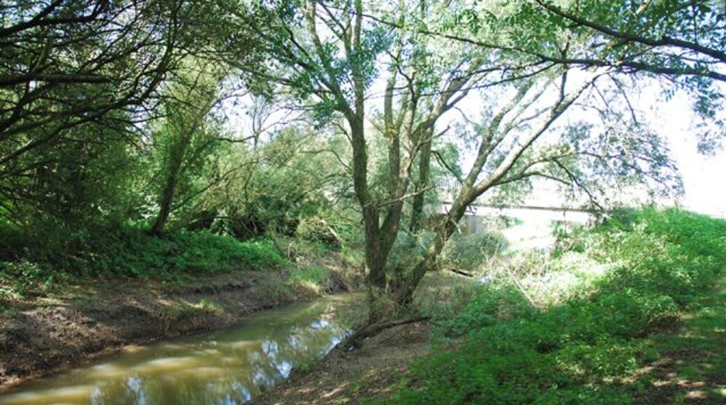River Cale passing under A30