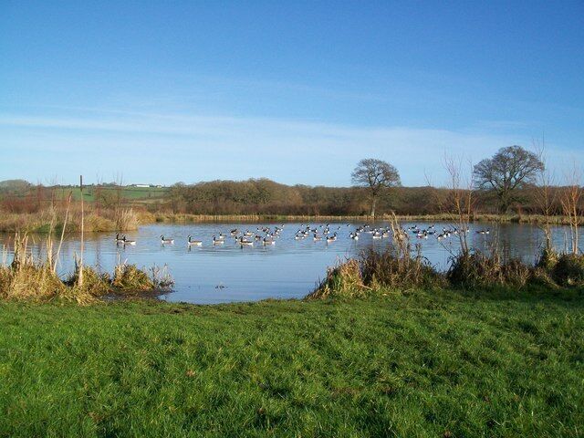 Fishing lake at Coking Farm Looking towards Fifehead Wood