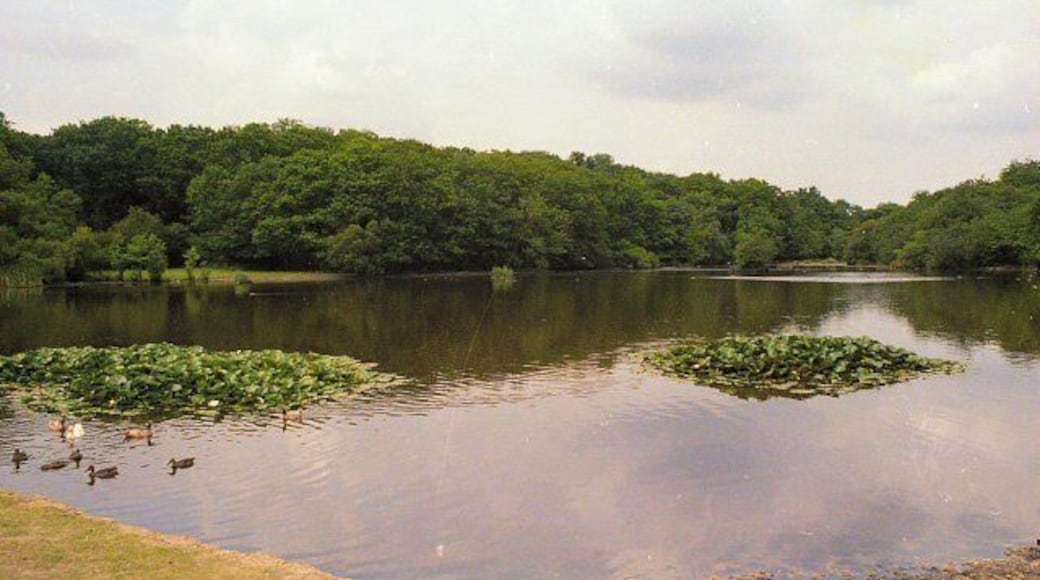 Eyeworth Pond from Car Park.