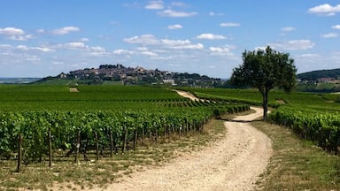 View of Sancerre from the vines. Everywhere around this region is beautiful, especially towards the end of summer when the grapes are ripening đ