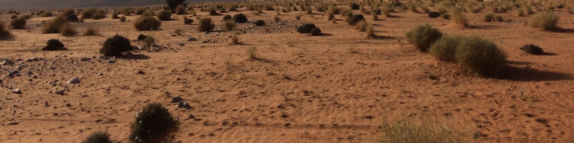 In the desert near Ramlia village🇲🇦