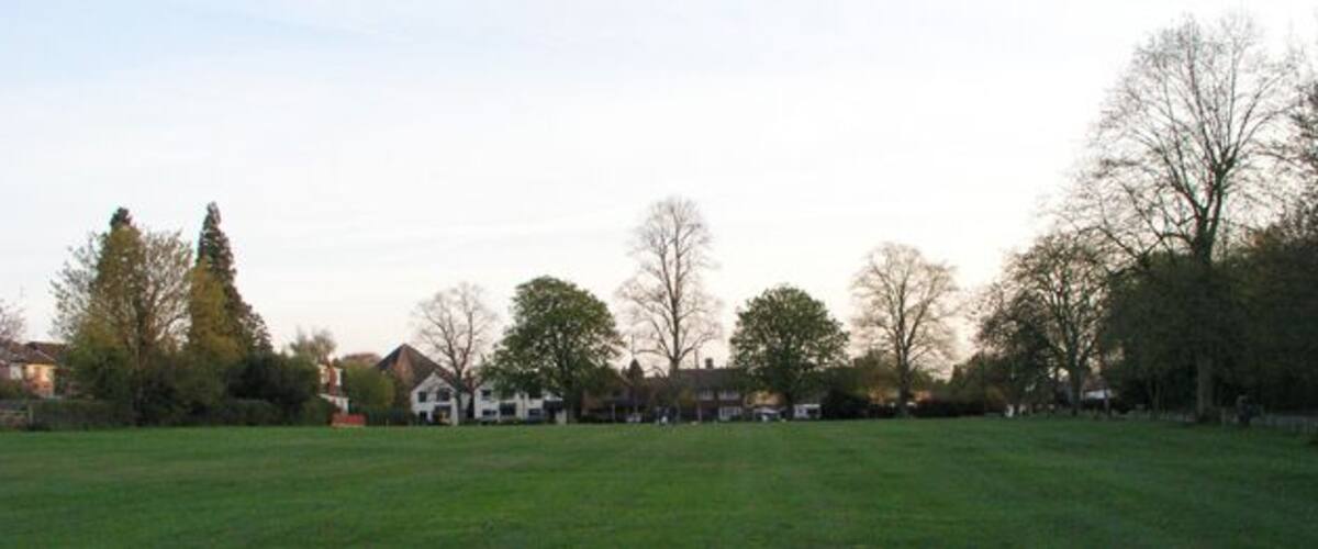 A grassy field with trees and houses in the background.