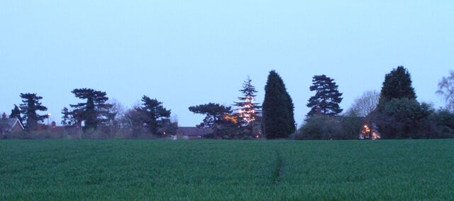 Illuminations at the Shelley public house.