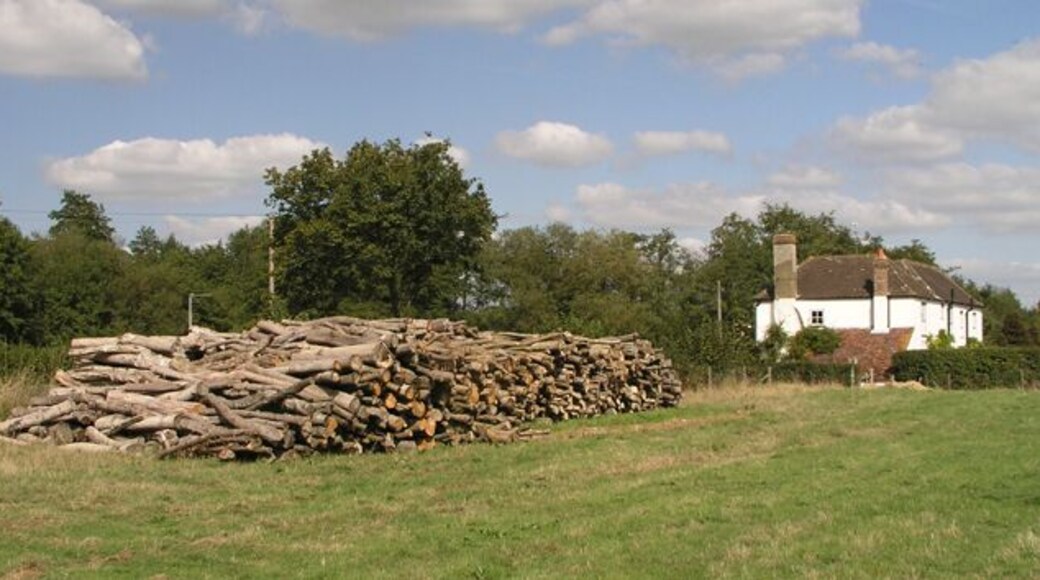Log pile with Rose Cottages behind. This timber was presumably cropped during the thinning out of the High Wood DEFRA conservation area.