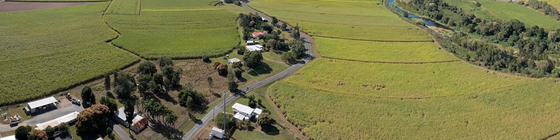 sugar cane crops ready for harvest near the Queensland town of Calen and the St Helens creek .