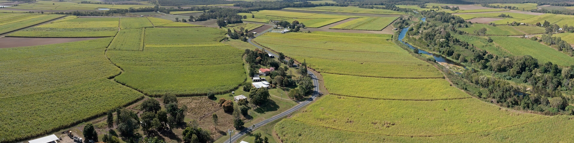 sugar cane crops ready for harvest near the Queensland town of Calen and the St Helens creek .