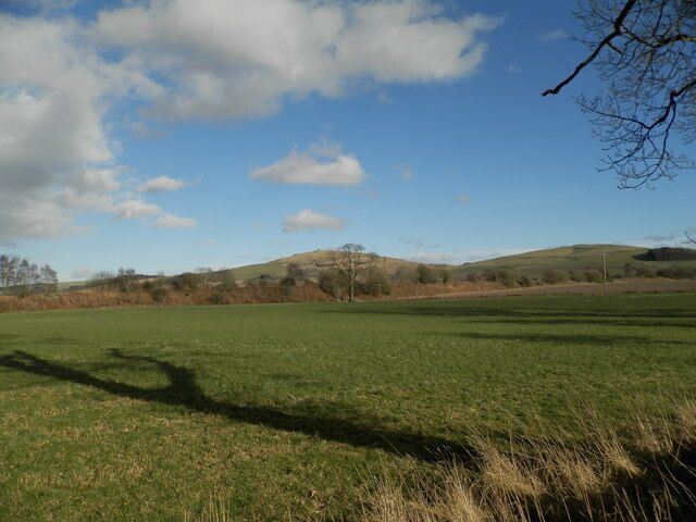 A grassy field with a clear sky and distant hills.