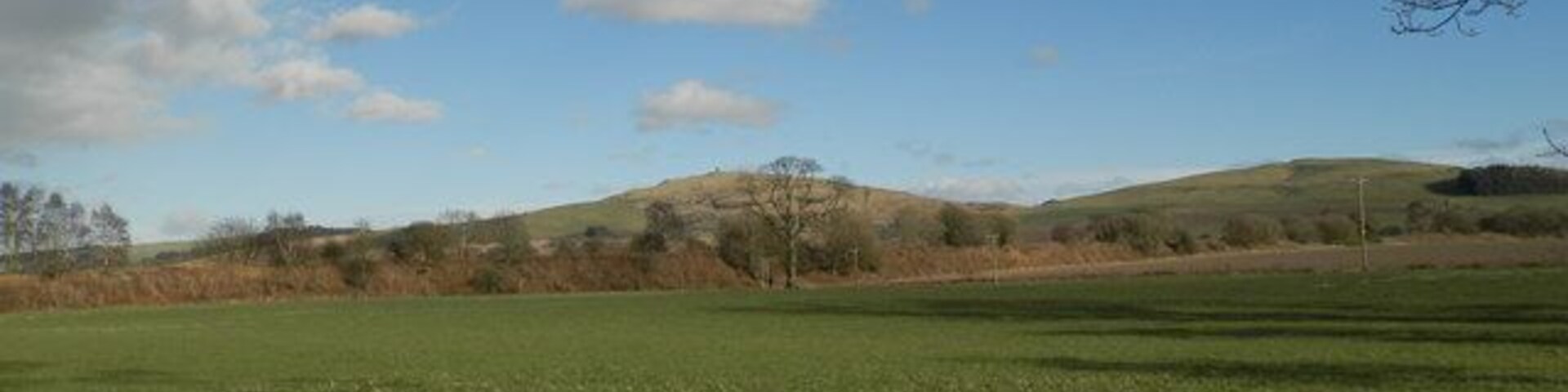 A grassy field with a clear sky and distant hills.