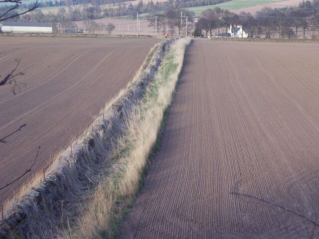 Field boundaries near Newtyle
