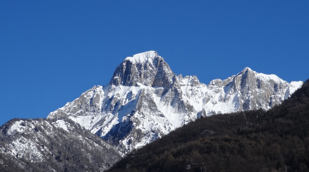 Pizzo Badile Camuno da Niardo