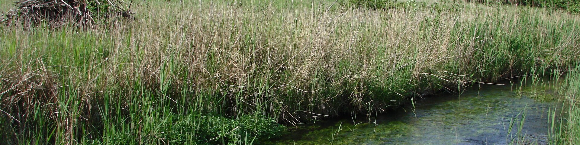 Wanderung Märkische Schweiz Stöbbertal