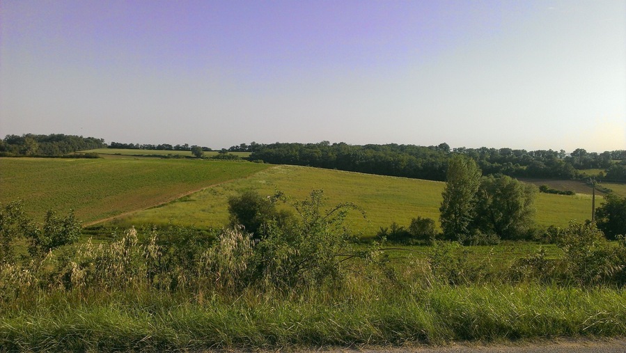 Un paisaje rural con un extenso campo verde, un sendero de tierra y una fila de árboles a lo lejos.