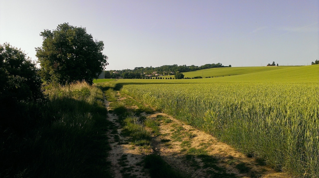 Peti chemin de Pechbonieu