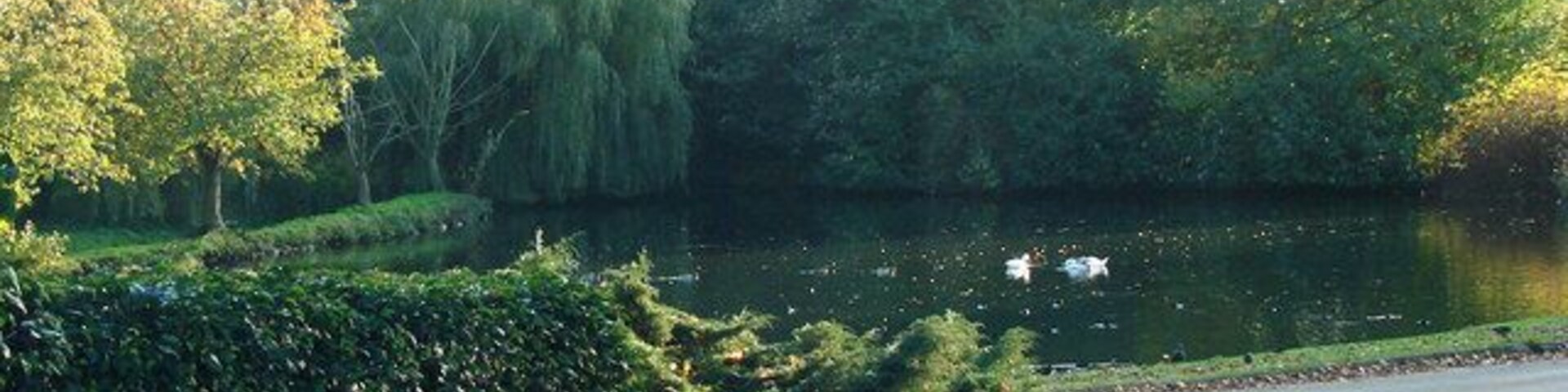 Pond in the grounds of Burghwallis Grange.