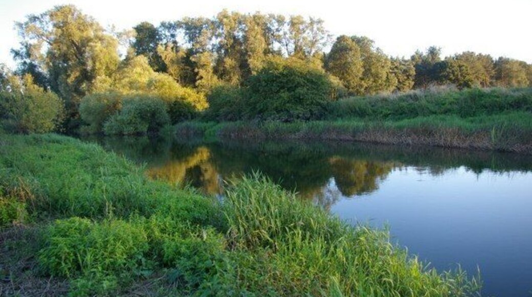 Evening view across the River Great Ouse Don't recommend anyone tries to replicate this unless they're impervious to nettles. Ouch!