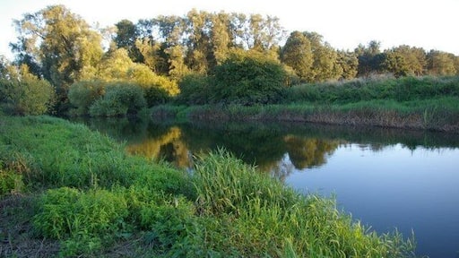 Evening view across the River Great Ouse Don't recommend anyone tries to replicate this unless they're impervious to nettles. Ouch!