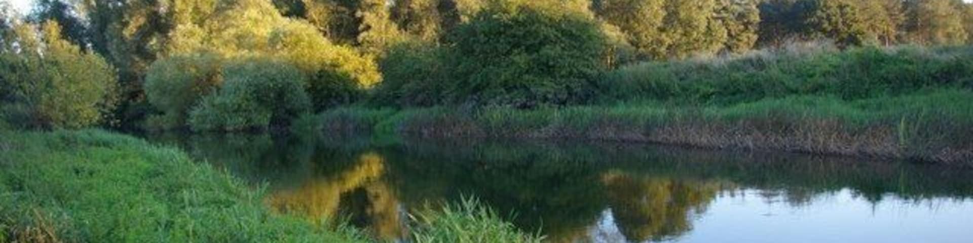 Evening view across the River Great Ouse Don't recommend anyone tries to replicate this unless they're impervious to nettles. Ouch!