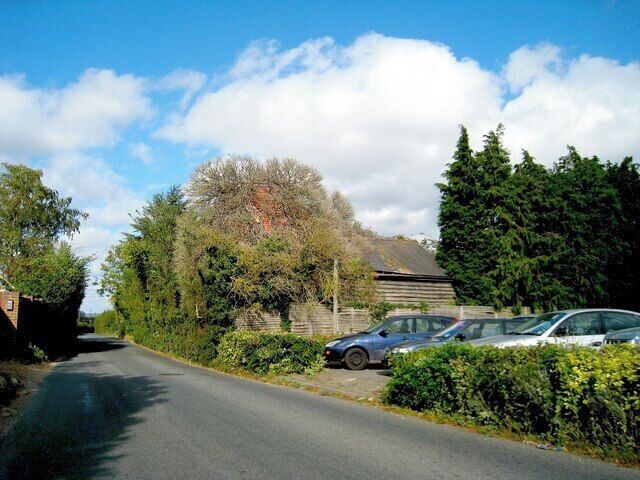 A narrow road with parked cars, a large tree, and a building in the background.
