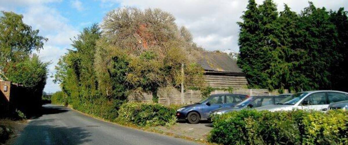 A narrow road with parked cars, a large tree, and a building in the background.