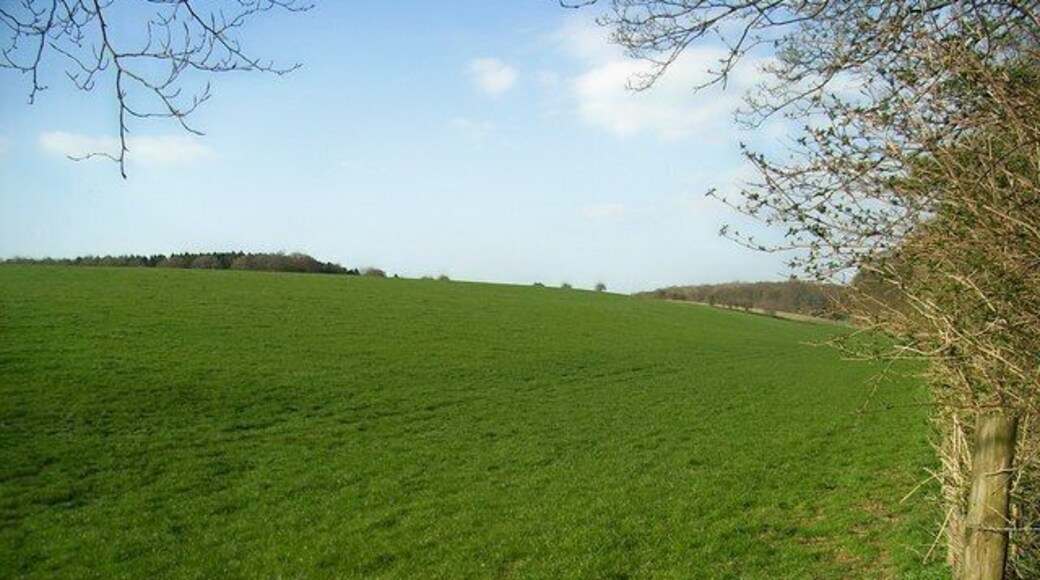 From the edge of Longdown Plantation Looking North with Rabbit Ground Plantation on the brow of the hill (on the left) and Shabbington Plantation in the distance on the right.