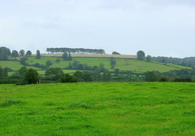 Pasture between Doynton and Wick Not sure if it is for cattle or sheep, been unoccupied too long. Freezing Hill is about a mile to the south east with its distinctive row of trees. GR ST7271