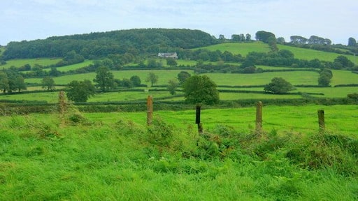 Farmland off Bury Lane It doesn't go anywhere near Bury, it goes to Doynton. The A420 climbs Tog Hill just beyond the house centre frame.