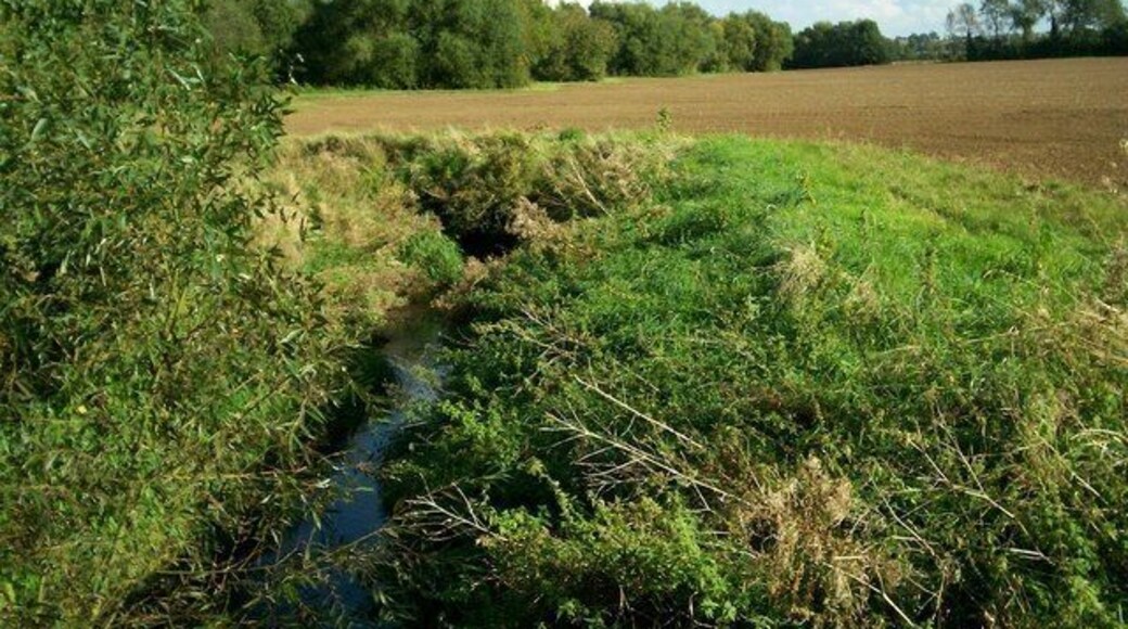 Knee Brook. The trees mark the source of the brook.