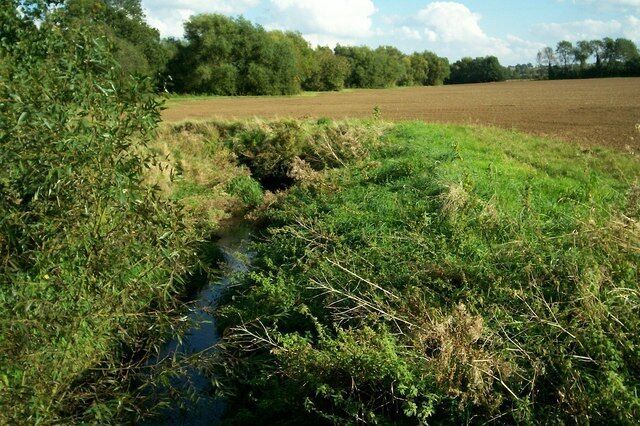 A narrow stream flowing through a grassy field with dense vegetation on the banks.