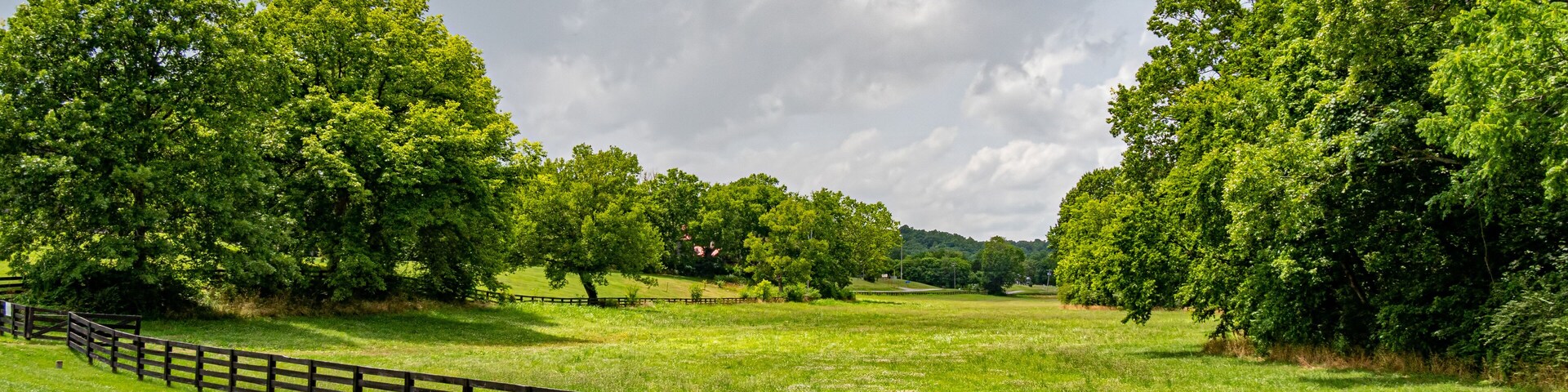 Un campo verde y exuberante con una valla de madera y árboles bajo un cielo nublado.