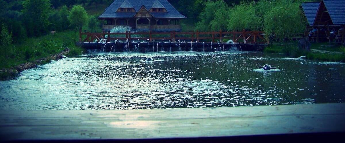 A house with a water feature in front, surrounded by forest.