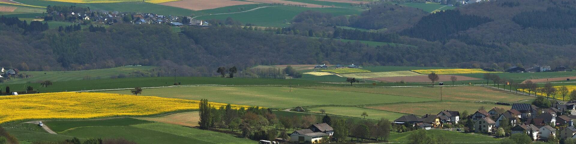 View from Heisebäumchen viewpoint towards the East
