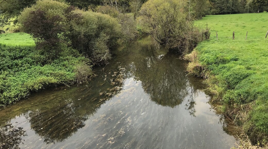 Moulin sur la Pierre, commune de Montfleur (Jura, France) en octobre 2017.