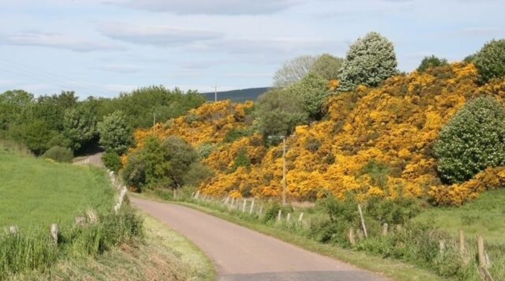 Holmie. The road here occupies what is probably a glacial meltwater channel.