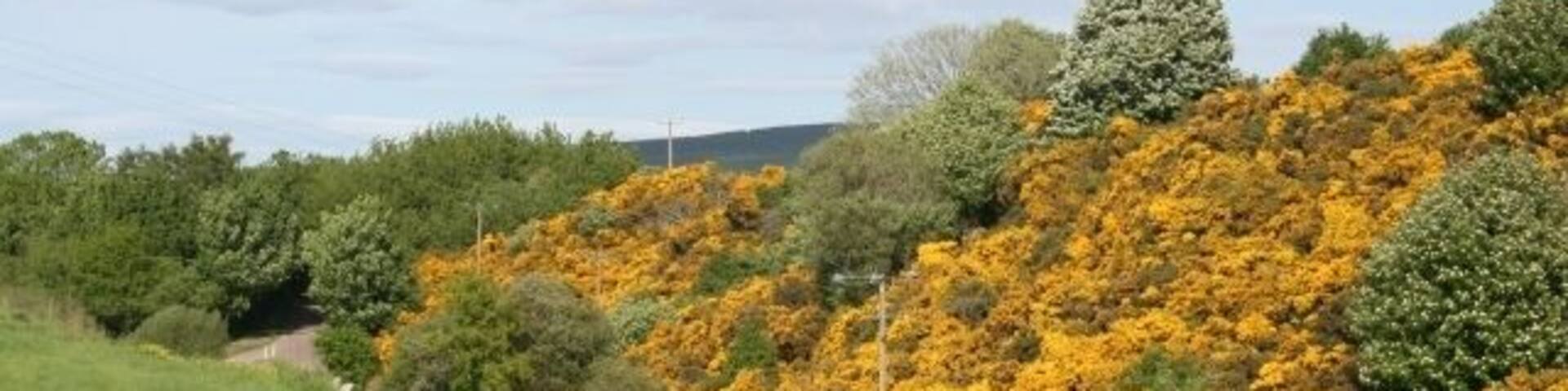 Holmie. The road here occupies what is probably a glacial meltwater channel.