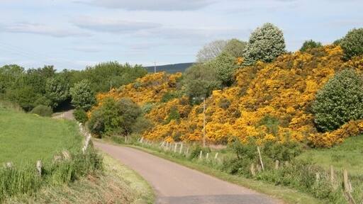 Holmie. The road here occupies what is probably a glacial meltwater channel.