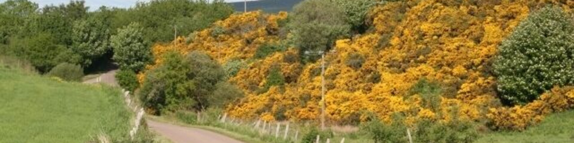 Holmie. The road here occupies what is probably a glacial meltwater channel.