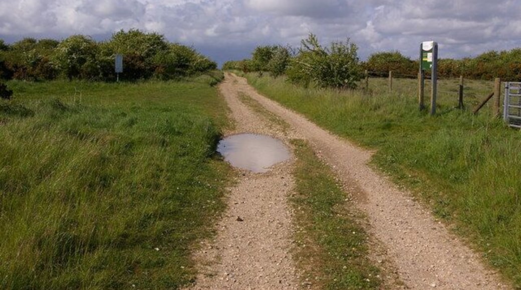 Public ownership. Two contrasting areas of public ownership, as indicated by the signs on either side of the track. On the left is MOD land, on the right is Parsonage Down NNR, owned by Natural England (see 1314253).