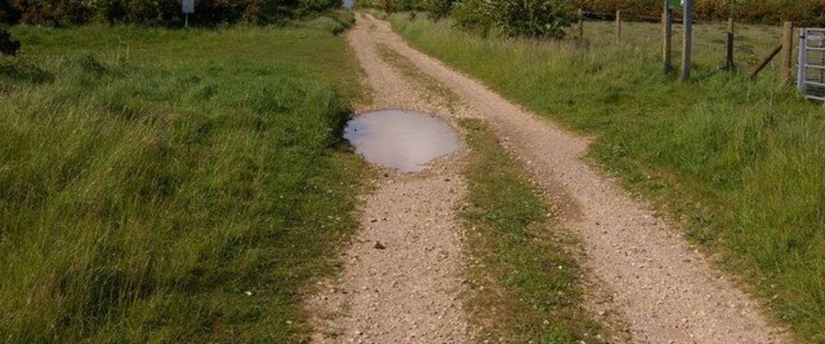 A rural dirt road with a puddle, surrounded by grass and bushes, leading to a gate.