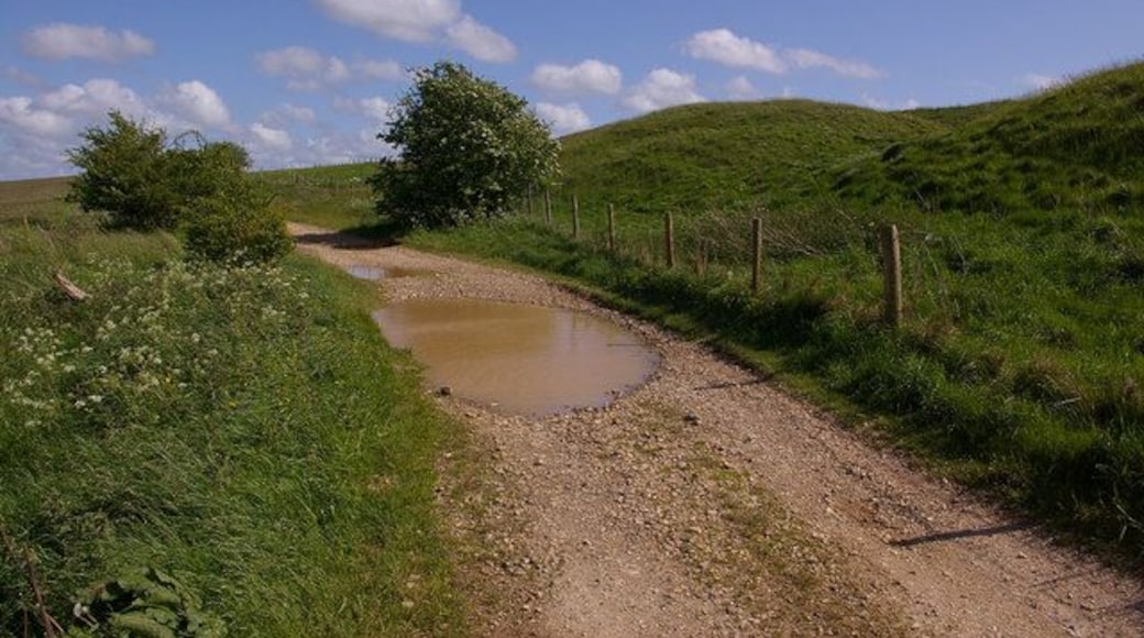 Byway off A303 Part of a byway that leads from Stapleford to Chitterne. On the right is Yarnbury Castle, a hillfort dating from pre-Roman times.