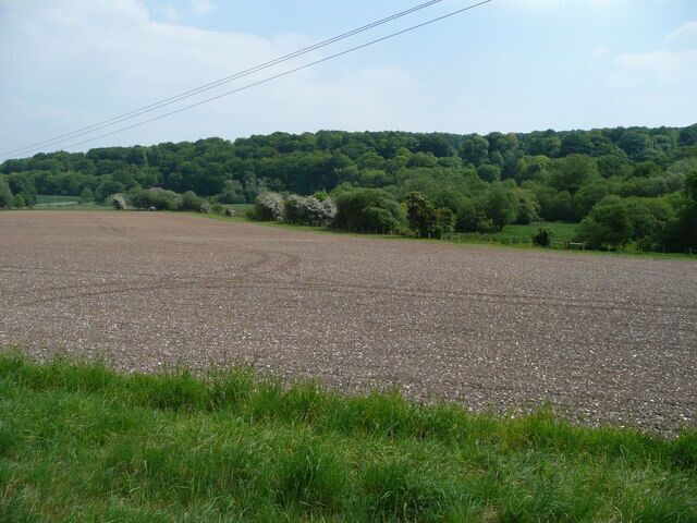 The Till Valley View east of the B3083 towards the wooded hillside of Asserton, north of Berwick St. James.