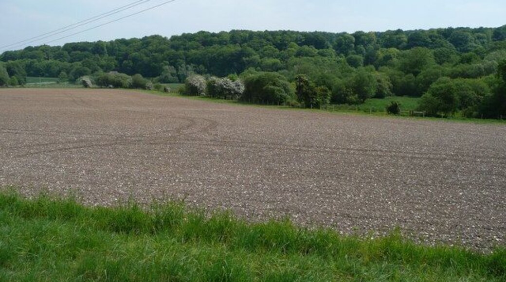 The Till Valley View east of the B3083 towards the wooded hillside of Asserton, north of Berwick St. James.