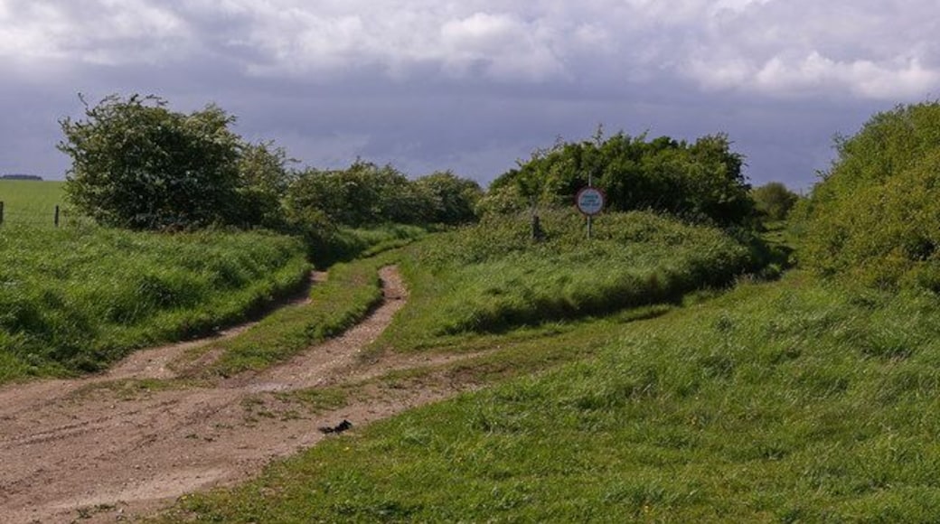 Private Land The sign is presumably referring to the strip of land between the two tracks, both of which are public rights of way. Not that it's obvious why anyone would want to venture onto that particular area, given the dense scrub at that point.