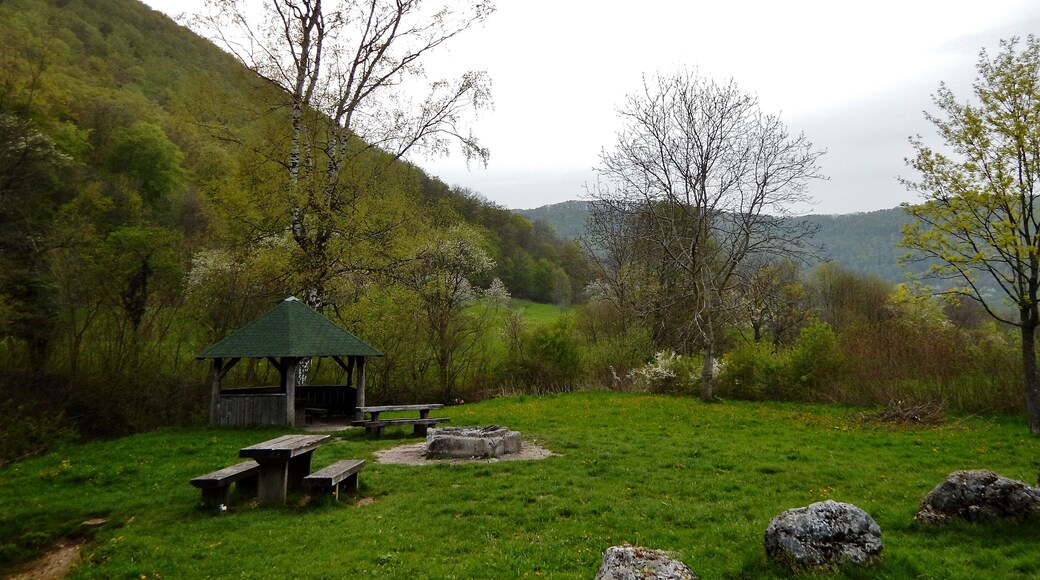 Grillplatz beim Neidlinger Wasserfall