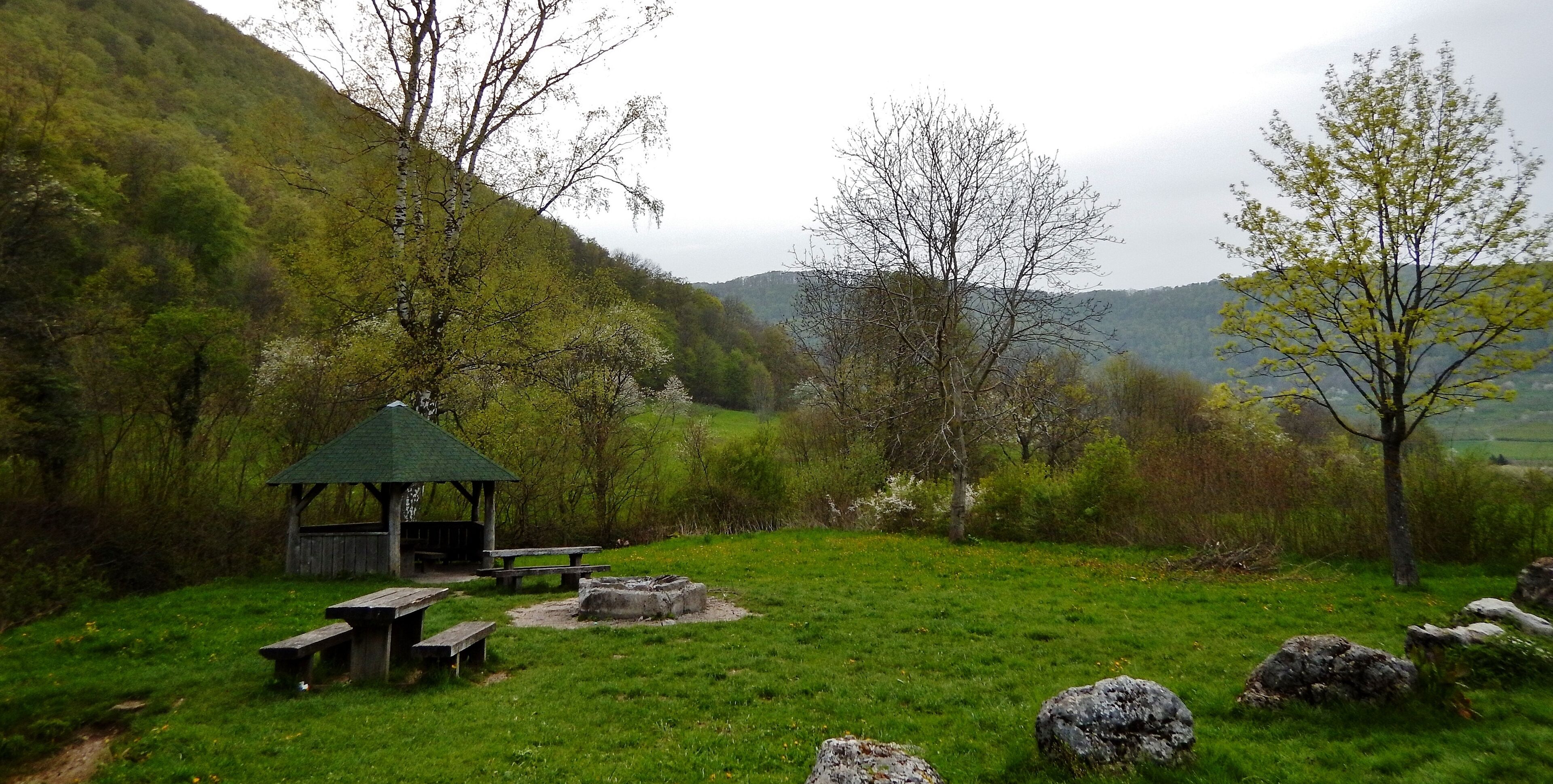 A picnic area with benches and a shelter surrounded by green grass and trees.