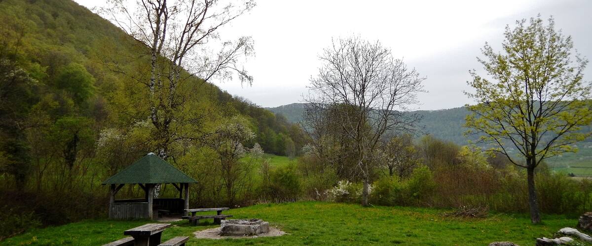 A picnic area with benches and a shelter surrounded by green grass and trees.
